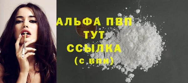 ECSTASY Вяземский