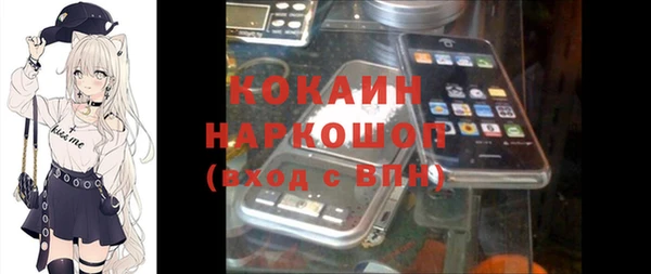 гашик Волосово