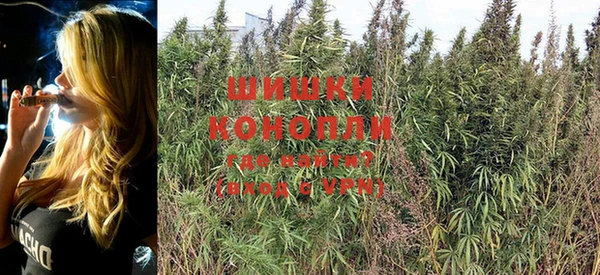 стаф Волоколамск