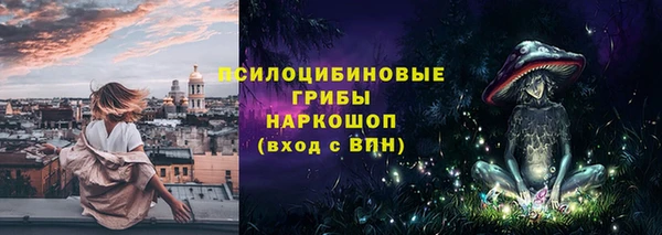 ECSTASY Вяземский