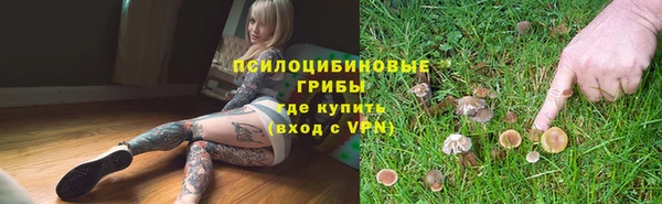 МДПВ Вязьма