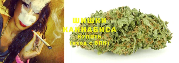 МДПВ Вязьма