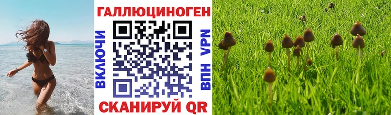 где купить наркоту  Иркутск  blacksprut сайт  Галлюциногенные грибы Cubensis 
